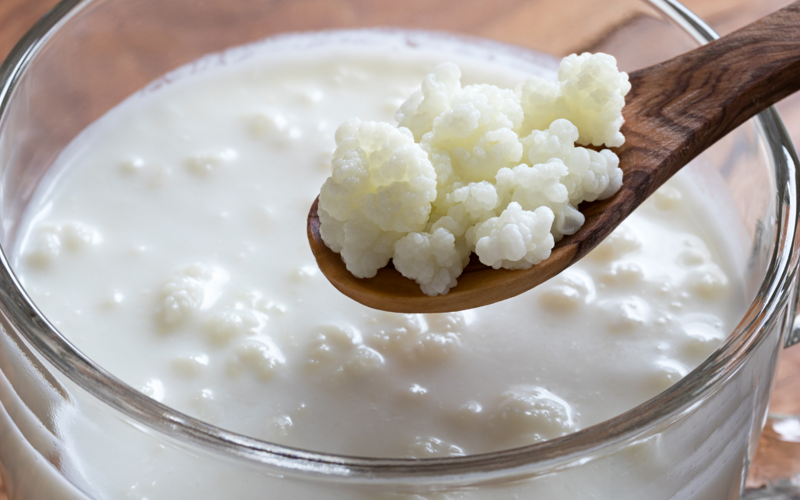 Proteína do leite por fermentação: ameaça ou aliada da pecuária leiteira? - Cia do Leite - Transformamos qualidade do leite e produtividade das fazendas